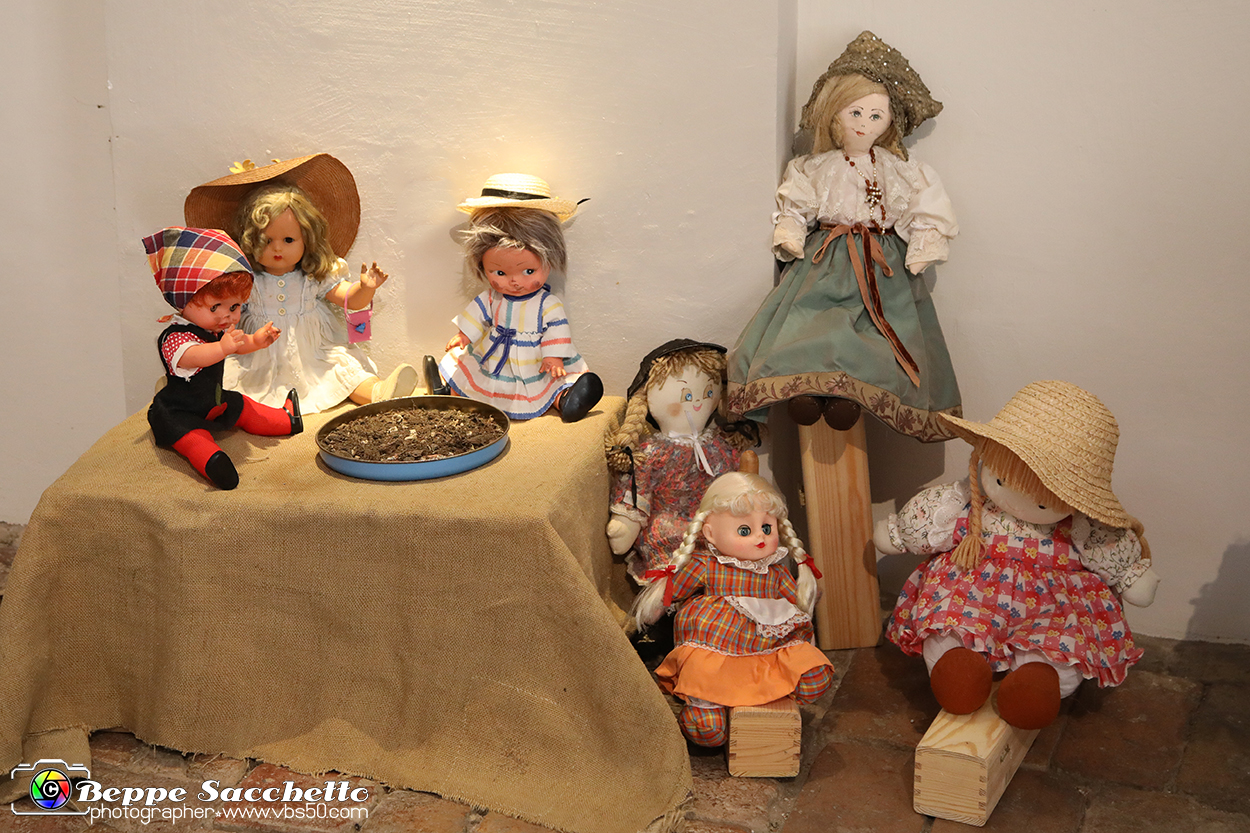 VBS_5876 - Le bambole di Rosanna.jpg